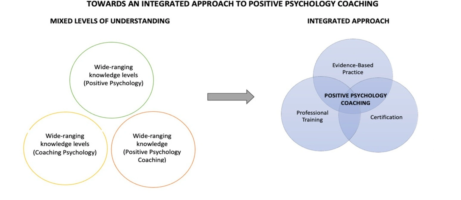 Professional methodology creation coaching session